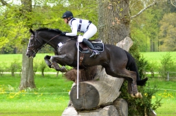 marbach-2015_cic3-gelaende-120