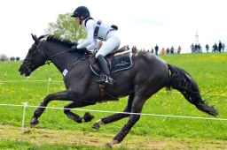 marbach-2015_cic3-gelaende-123