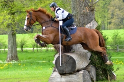 marbach-2015_cic3-gelaende-127