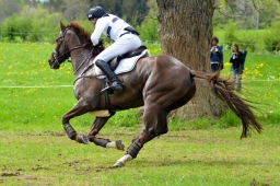 marbach-2015_cic3-gelaende-130