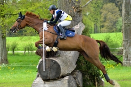 marbach-2015_cic3-gelaende-132