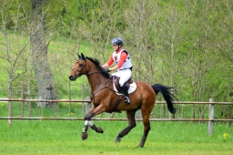 marbach-2015_cic3-gelaende-133