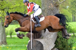 marbach-2015_cic3-gelaende-134