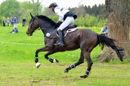 marbach-2015_cic3-gelaende-138