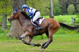 marbach-2015_cic3-gelaende-144