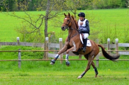 marbach-2015_cic3-gelaende-145