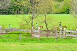 marbach-2015_cic3-gelaende-148