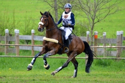 marbach-2015_cic3-gelaende-153