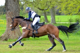 marbach-2015_cic3-gelaende-156