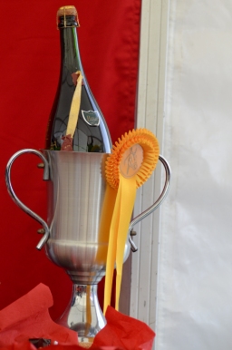 marbach-2015_cic3-gelaende-174