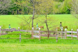 marbach-2015_cic3-gelaende-148