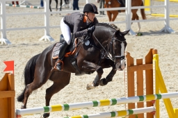 marbach-2015_cic3-springen028-jpg