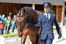 marbach-2014_sonntag-112-jpg