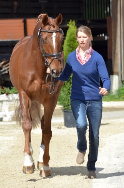 marbach-2014_sonntag-131-jpg