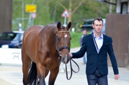 marbach-2014_sonntag-149-jpg