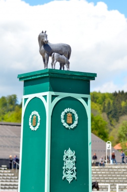 marbach-2014_sonntag-176-jpg