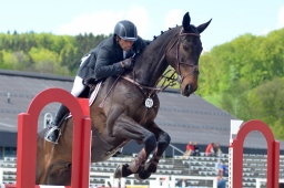 marbach-2014_sonntag-223-jpg