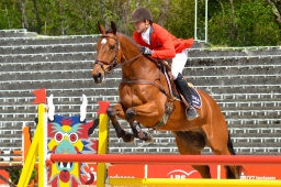 marbach-2014_sonntag-242-jpg