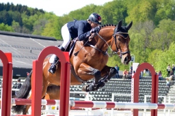 marbach-2014_sonntag-263-jpg