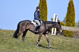 michael-jung_horb-maerz-2015-048-jpg