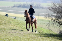 michael-jung_horb-maerz-2015-058-jpg