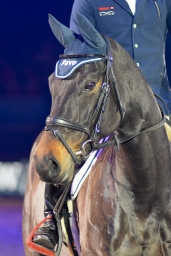 michi-reitmeister-ehrung-2016-33-jpg