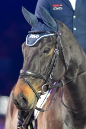 michi-reitmeister-ehrung-2016-34-jpg