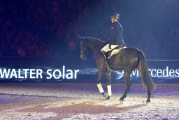 michi-reitmeister-ehrung-2016-7