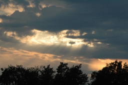 michael-jung_empfang-london-2012-027-jpg