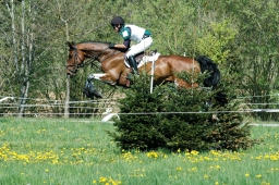 radolfzell-2012_cci1-020-jpg