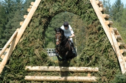 radolfzell-2012_cci2-102-jpg