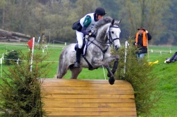 radolfzell-2013_cic1-003-jpg