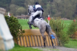 radolfzell-2013_cic1-007-jpg