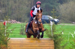 radolfzell-2013_cic1-010-jpg