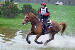 radolfzell-2013_cic1-011-jpg