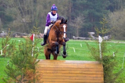 radolfzell-2013_cic1-012-jpg