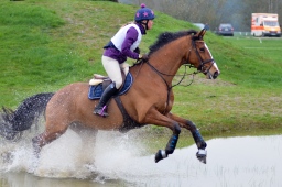 radolfzell-2013_cic1-013-jpg