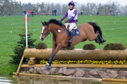 radolfzell-2013_cic1-015-jpg