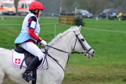 radolfzell-2013_cic1-018-jpg