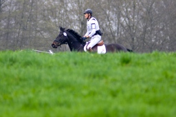 radolfzell-2013_cic1-027-jpg