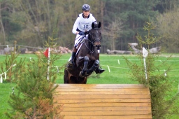 radolfzell-2013_cic1-029-jpg