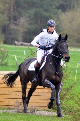 radolfzell-2013_cic1-030-jpg