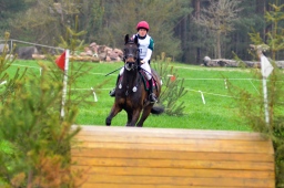 radolfzell-2013_cic1-034-jpg