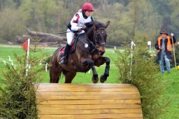 radolfzell-2013_cic1-036-jpg