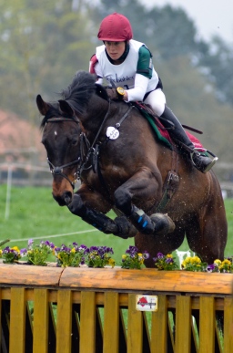 radolfzell-2013_cic1-038-jpg