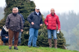 radolfzell-2013_cic1-050-jpg