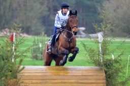 radolfzell-2013_cic1-051-jpg