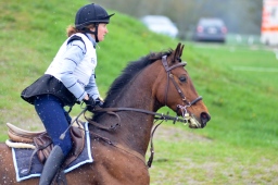 radolfzell-2013_cic1-052-jpg