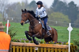 radolfzell-2013_cic1-053-jpg