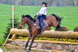 radolfzell-2013_cic1-054-jpg